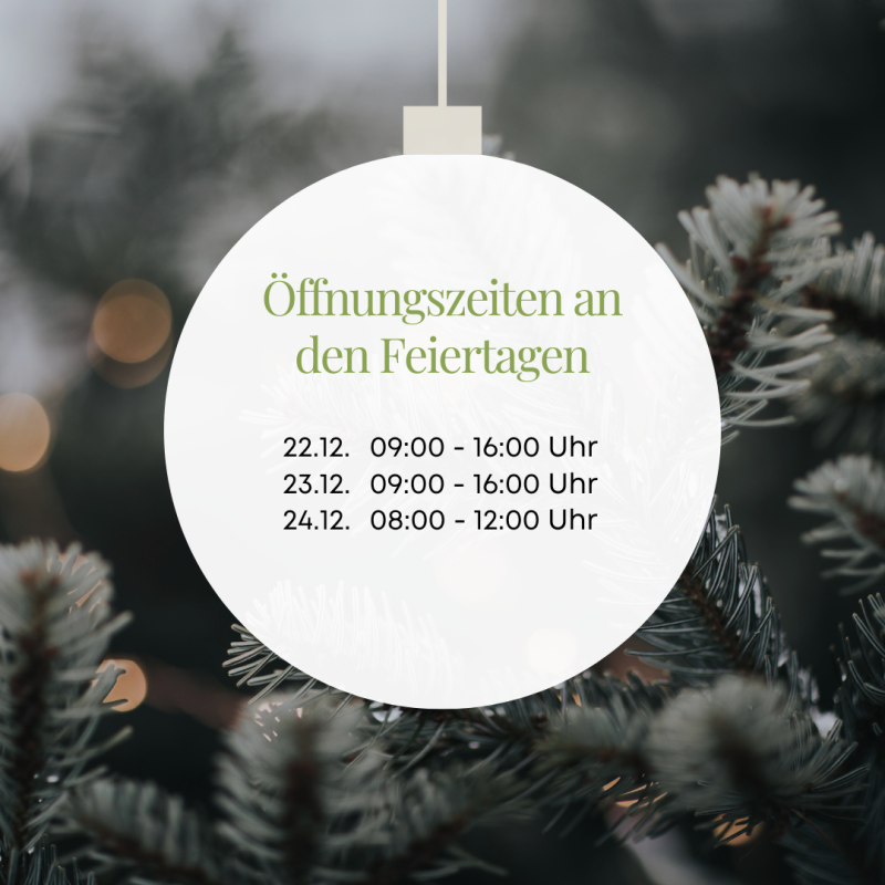 Beige Weiß Modern Elegant Pastell Weihnachten Öffnungszeiten Feiertage Instagram Beitrag