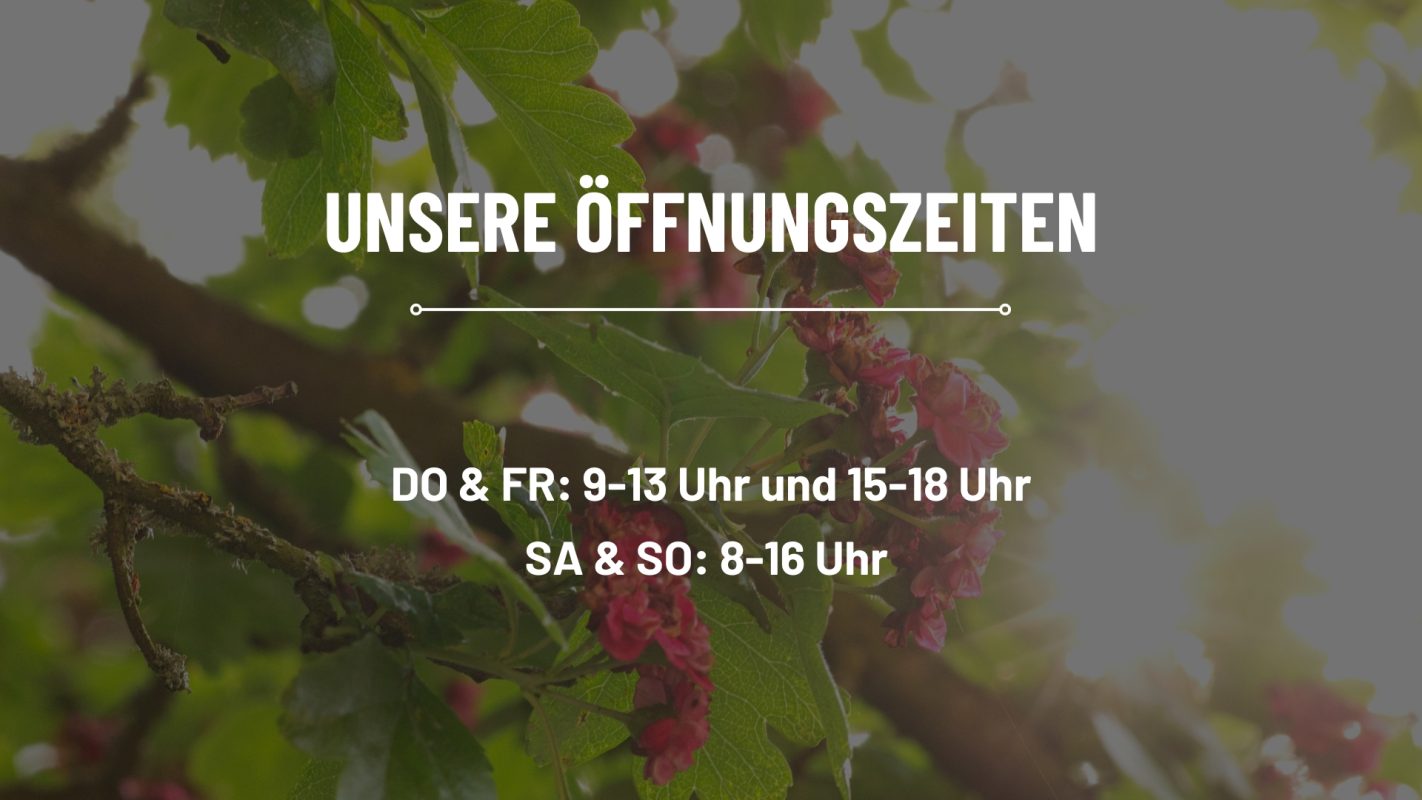 Wir machen Urlaub Instagram Post mit Strand Hintergrund Sommerurlaub (Präsentation)